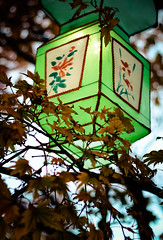 La magie des lanternes 2012 - Jardin botanique de Montréal