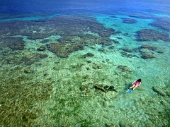 Snorkeling at Coral View, Utila