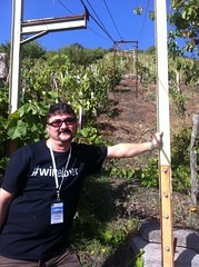 Luiz Alberto @ Brancatelli, Monte Ilice vineyard
