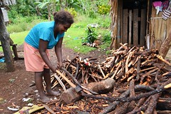 Communities rely heavily on firewood, the harvesting of which is depleting mangrove forests on Malaita, Solomon Islands. Photo by J. van der Ploeg