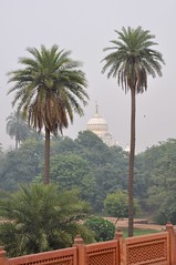 Delhi 154