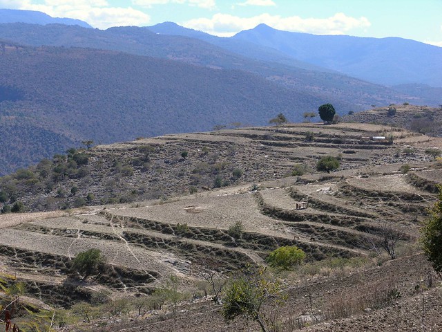 Campo de siembra - Agricultural fields; San Miguel Piedras, Distrito de Nochixtlán, Región Mixteca, Oaxaca, Mexico