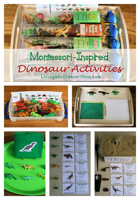 Montessori-Inspired Dinosaur Activities