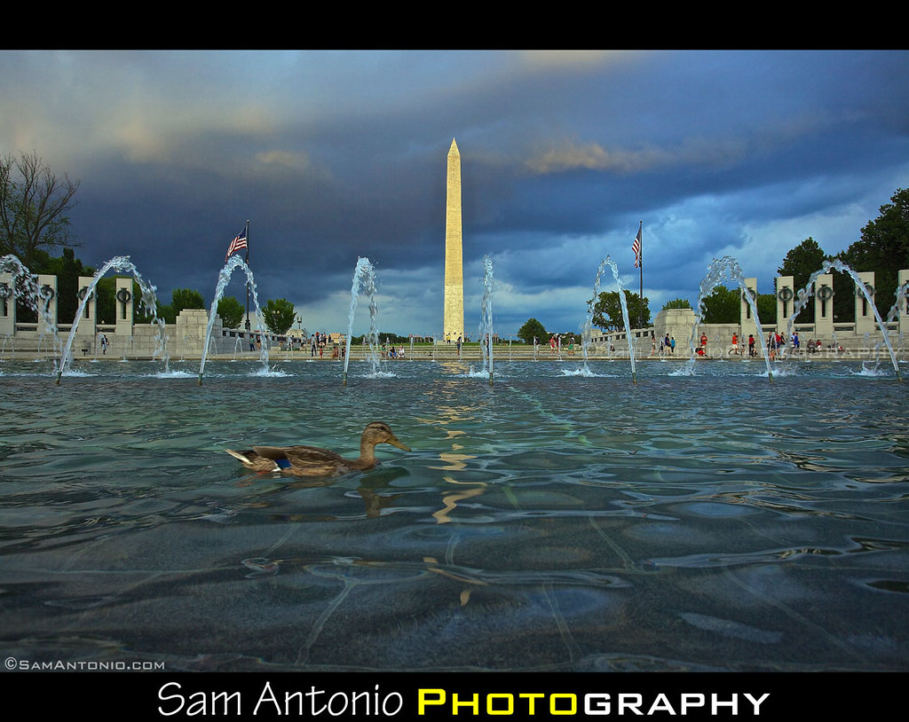 Oh Duck! National World War II Memorial - Washington, D.C.… | Flickr
