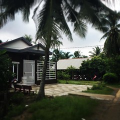 간만에 처갓집으로 여름휴가 옴. visit my wife's family for vacation #vacation #summer #countryside #vietnam #bentre #iphone6 #instagram