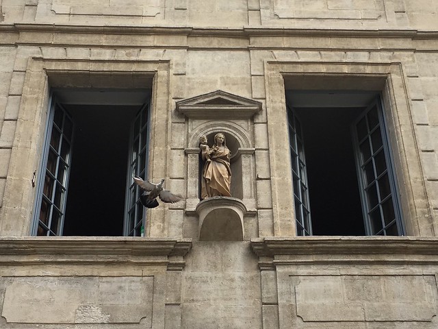 Pigeon taking flight from Avignon windowsill