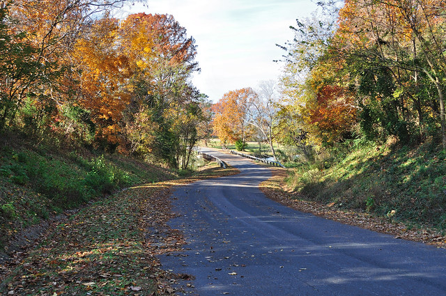 A farm road leads you through the fall leaves at Chippokes State Park, Va