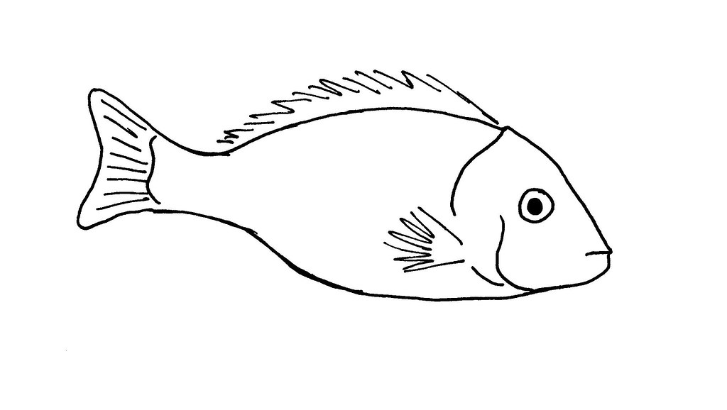 Line drawing of a fish | Used as illustration card for ...