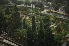 Jardines de Pedro Luis Alonso from the Alcazaba