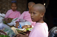 Nuns In Burma