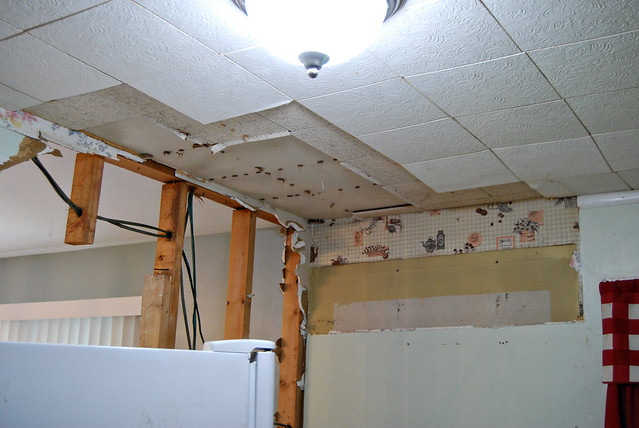 Multiple layers of wallpaper and ceiling tiles