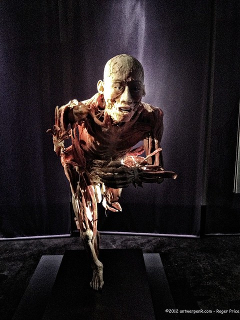 At the human body exhibition...