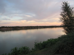 River nile