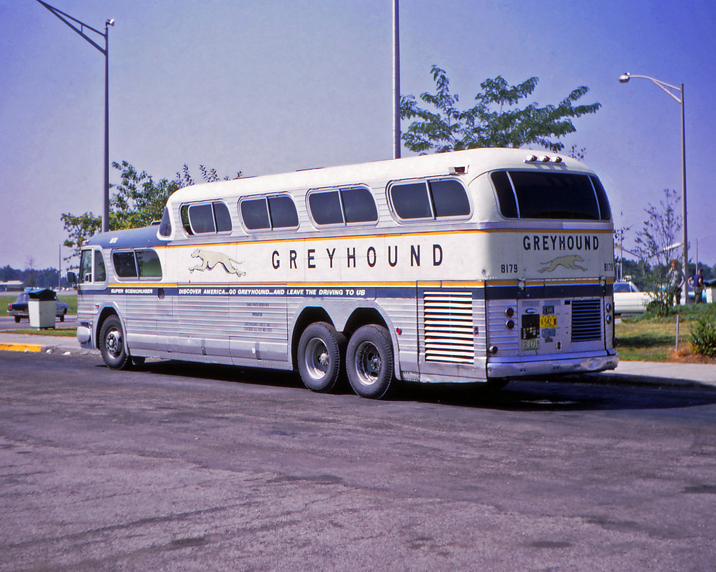 Американские Автобусы Фото