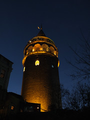 Galata-tower in night with birds