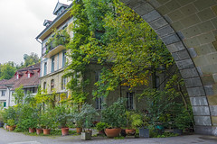 Ciudad vieja de Berna
