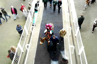 View Of Jockey & Horse | by Paolo Camera