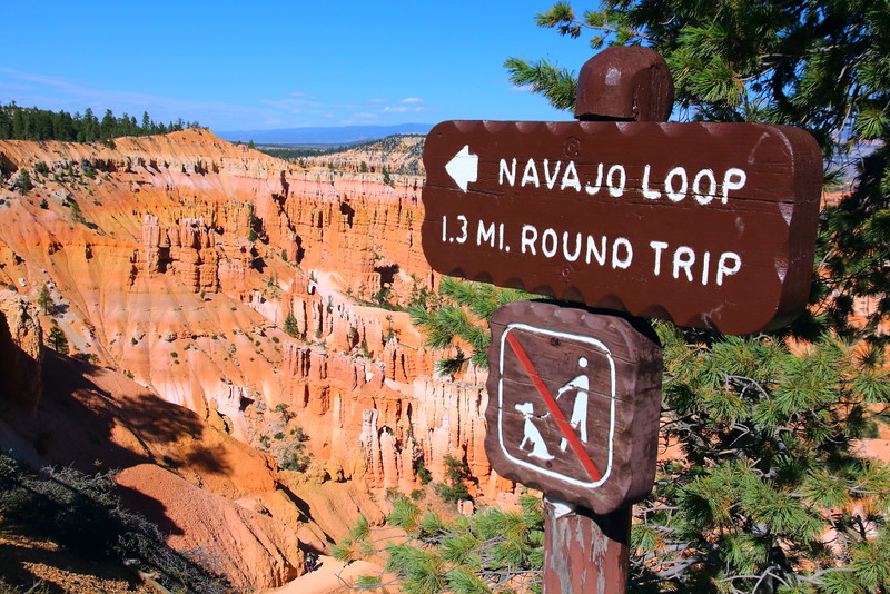 IMG_8324 Navajo Loop Trail