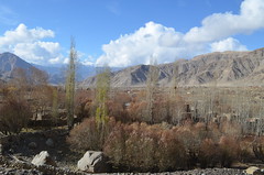 Sakti village, Ladakh