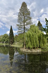 Reflet de l'étang du parc d'Avroy