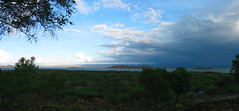 Baringosjøen