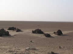 Moroccan Sahara - 4 - 2005-01-23 at 03-44-09