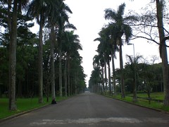 Jardim Botânico de São Paulo.