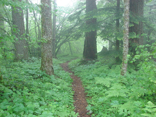 Franklin Ridge Trail
