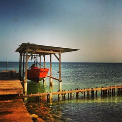 Cheguei em Utila: pronta pra mais uma semana de mergulhos, mar, tubarões, caiaque, bicicleta #viagem #errante #travel #dive