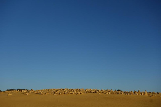 Nambung NP - Pinnacles Desert