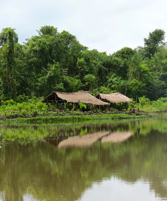 Warao homes in the Delta