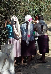 Women picking coffee - Mujeres cosechando café cerca de San Juan Tabaá,  Región Sierra Juárez, Oaxaca, Mexico