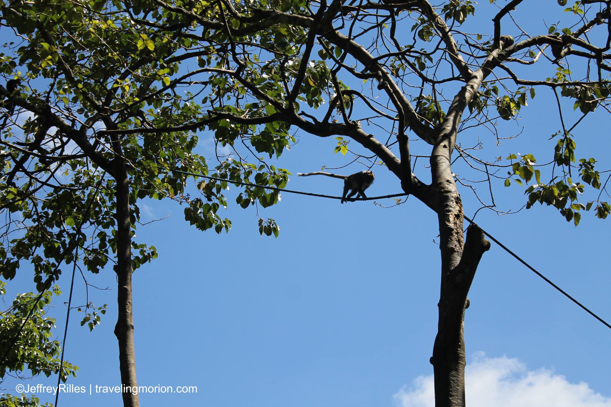 Philippine Eagle Center in Davao