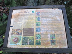 Trail Sign: Montane Thickets
