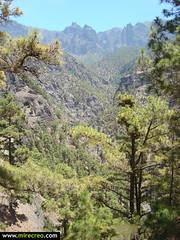 www.mirecreo.com Ruta por la caldera de Taburiente, La Palma