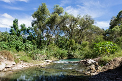 Río Verde en Rioverde - SLP México 141102 125900 07594 RX100 LR
