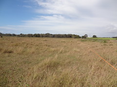Greenfleet's proposed planting area int he Barolin Nature Reserve, Bundaberg, Qld