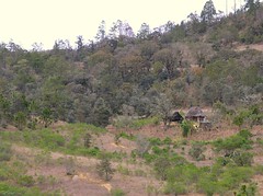 Hut - Casita cerca de San Pedro y San Pablo Ayutla, Región Mixes, Oaxaca, Mexico