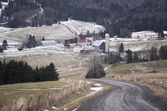 Remote road near Saint-Venant-de-Paquette