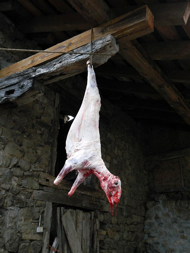 Freshly-butchered sheep in the mountain village of Brez in the Picos de Europa, Spain