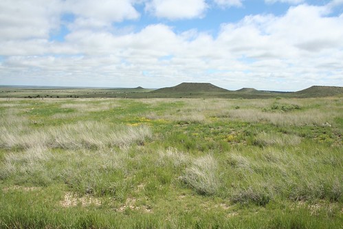 Heartland Ranch Landscape