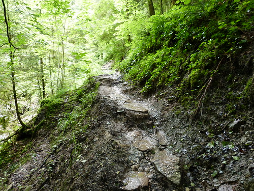 Adventurous Hike near Stuttgart at Hörschbachtal