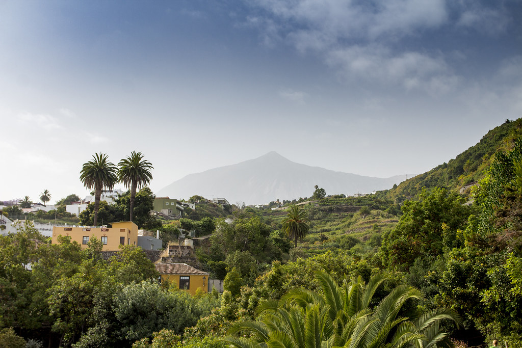 Teide landscape from Parque del Drago, Icod - Tenerife