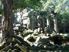#7494 Chinese banyan (ガジュマル) and Grecian arches?