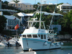 Kerry D, Bermuda