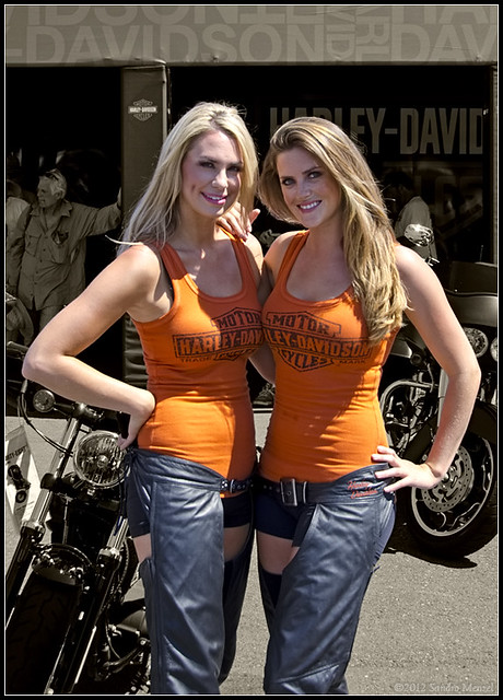 Download this Harley Davidson Girls picture