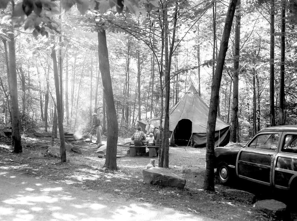 Chimneys Campground, June 2, 1952, Great Smoky Mountains National Park, Abbie Rowe (photographer)