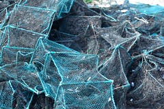 Fishing nets on Beach at Shan Hai Guan