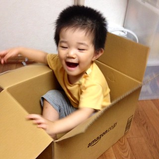 Amazon箱に入るとらちゃん (2012/7/29)