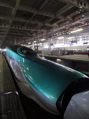 Shinkansen E5, Sendai / JP, 2012